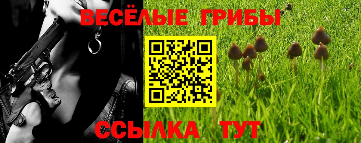 Псилоцибиновые грибы MAGIC MUSHROOMS Ростов-на-Дону