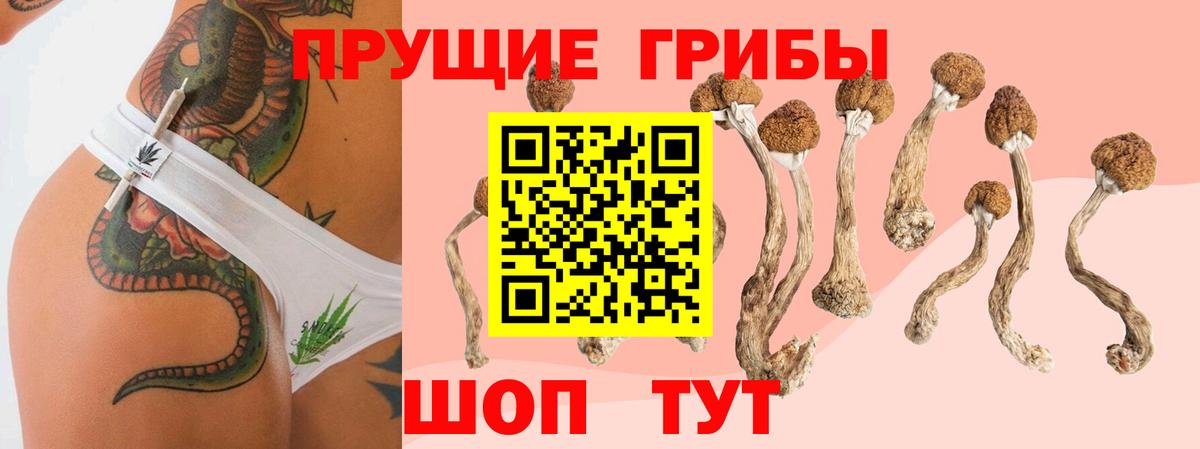 Ростов-на-Дону  как найти закладки  Вход с VPN  Псилоцибиновые грибы MAGIC MUSHROOMS 